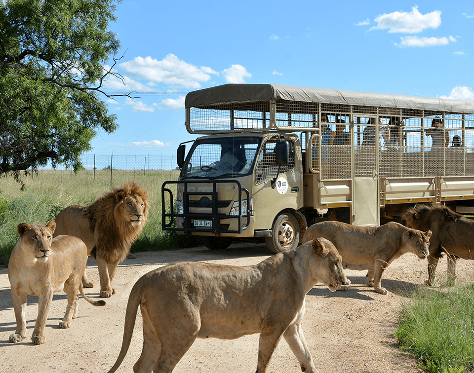  what to know about South Africa - Pacific tours Ghana