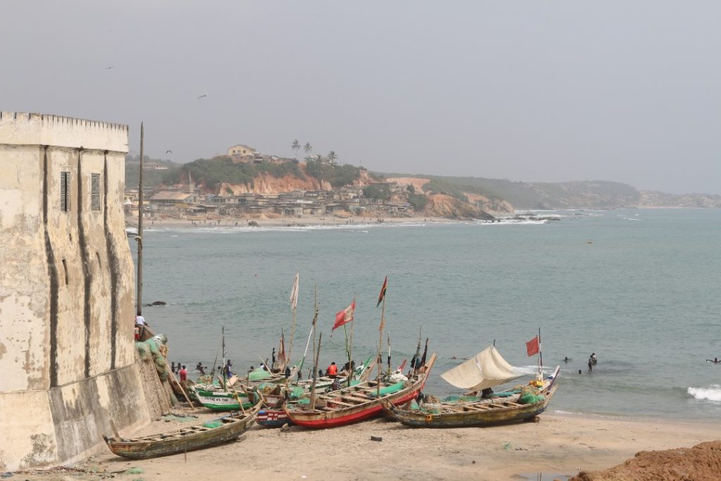 ELMINA1